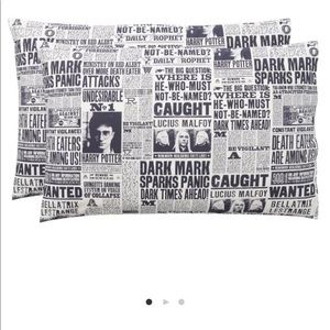 Pottery Barn Teen Daily Prophet Harry Potter pillow case (one!)